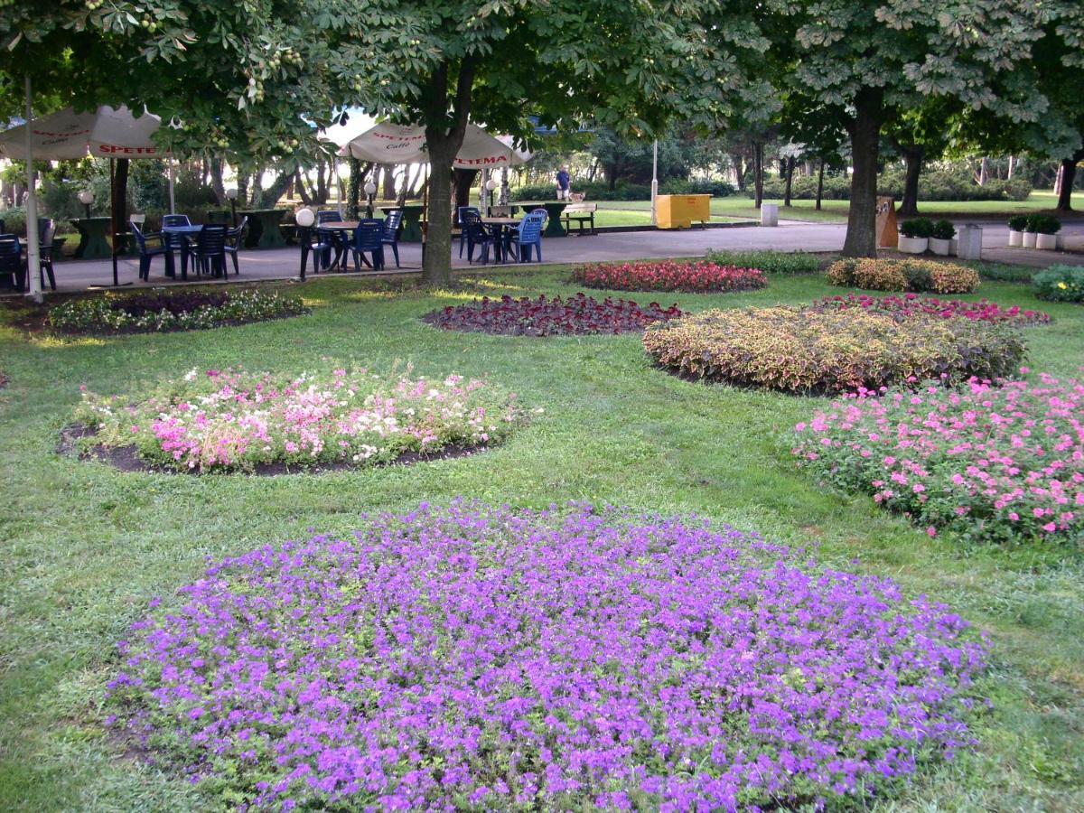 Tsarigradska Apartment Burgas